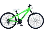 GIANT Brass 24