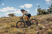 LIV Devote Advanced 2 Kelp Forest click to zoom image