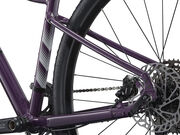 LIV Rove 1 Tyrian Purple click to zoom image