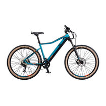 EZE-GO Trail Destroyer II 500wh