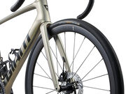 GIANT Defy Advanced SL 1 Golden Haze / Panther click to zoom image
