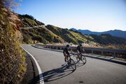 GIANT TCR Advanced SL 0 DA click to zoom image