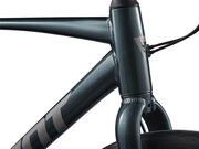 GIANT Escape Disc 2 Asphalt Green click to zoom image