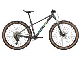 GIANT Talon 0 Stealth Chrome