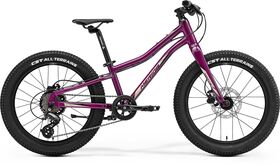 MERIDA Matts J.20+ Purple