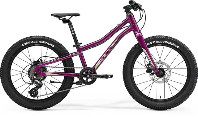 MERIDA Matts J.20+ Purple click to zoom image