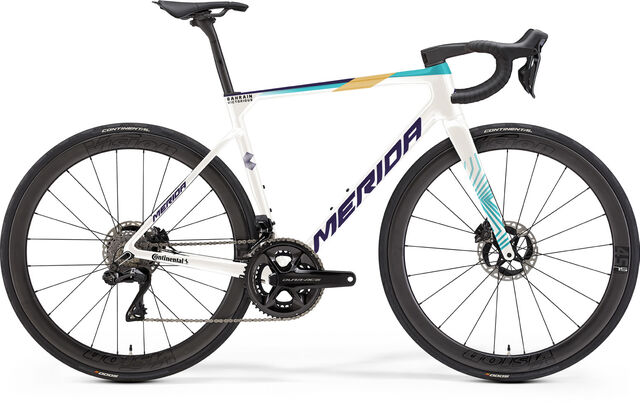 MERIDA Scultura Team - Team (Teal/Pearl) - MY25 click to zoom image